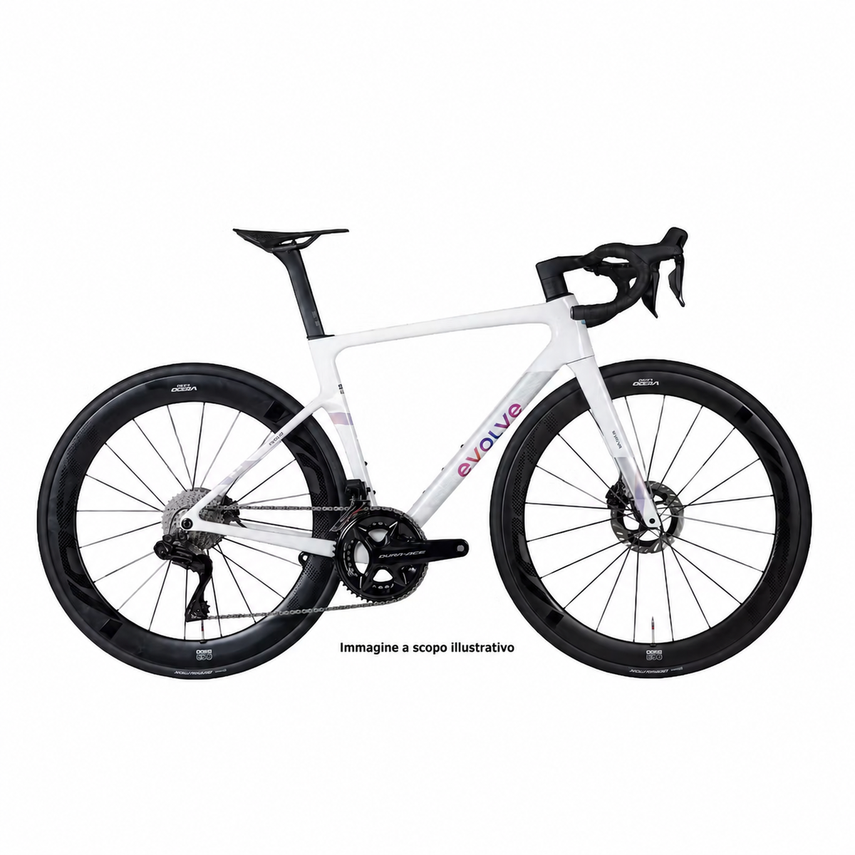Rali X Evolve 2026 usata — dettaglio