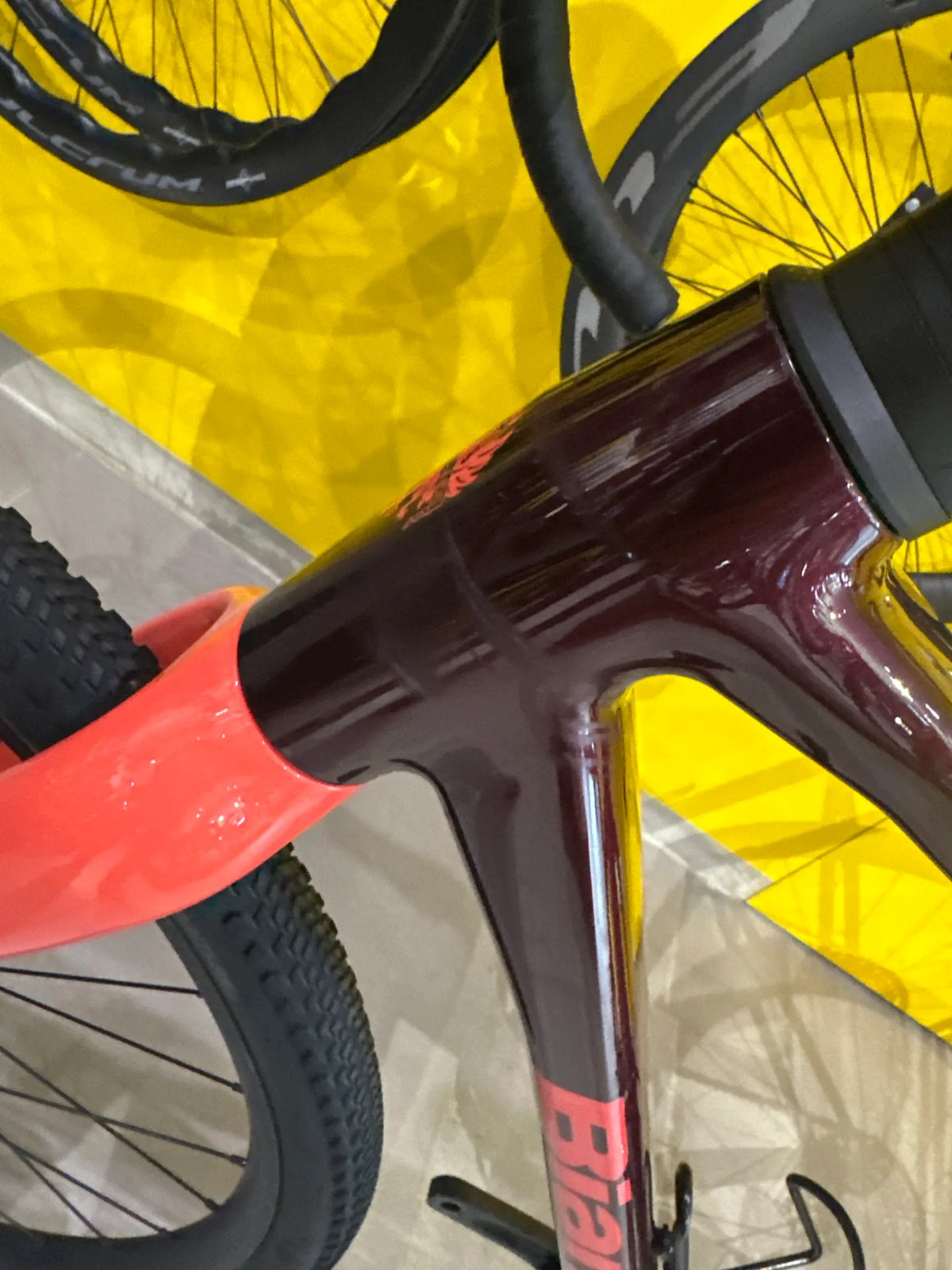 Bianchi Arcadex Al 2026 usata — dettaglio