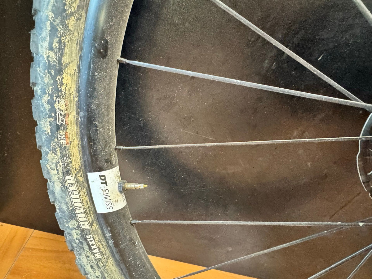 Evil Chamois Hagar / 2022 usata — dettaglio