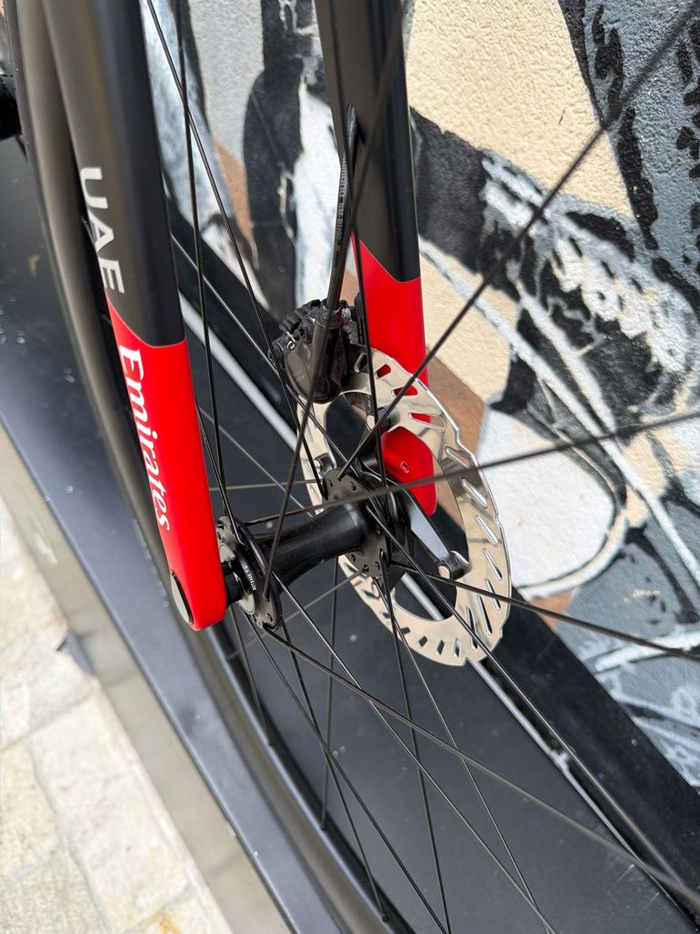 Colnago V4rs 2024 usata — dettaglio