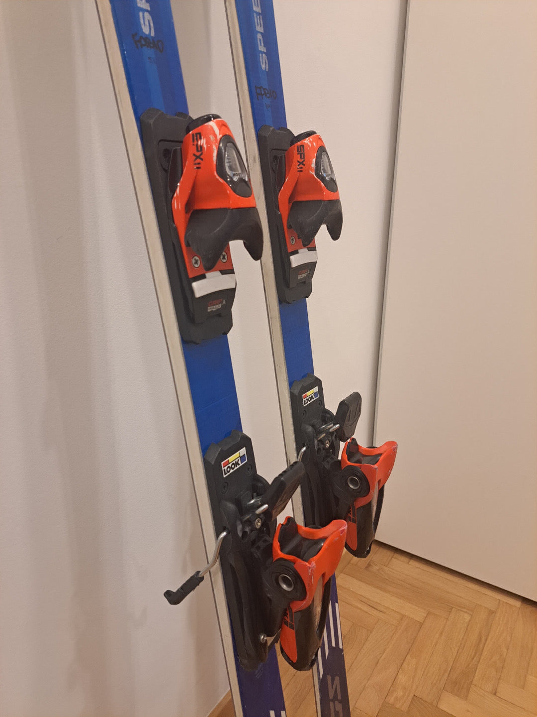 sci Dynastar Speed Team GS attacchi LookSPX 11 164cm usati