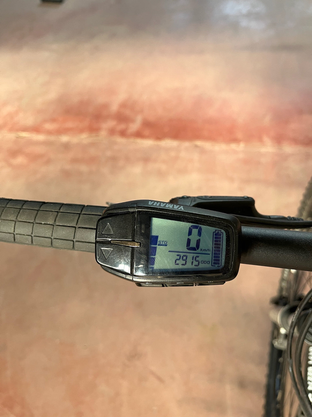 E-MTB Raymon tg. M usato noleggio