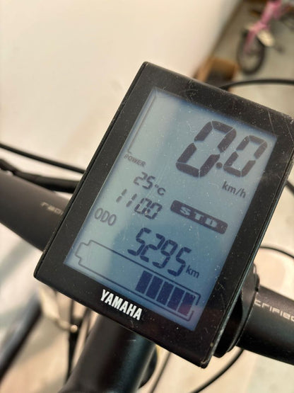 Haibike Allmnt Rc 2015 usata — dettaglio