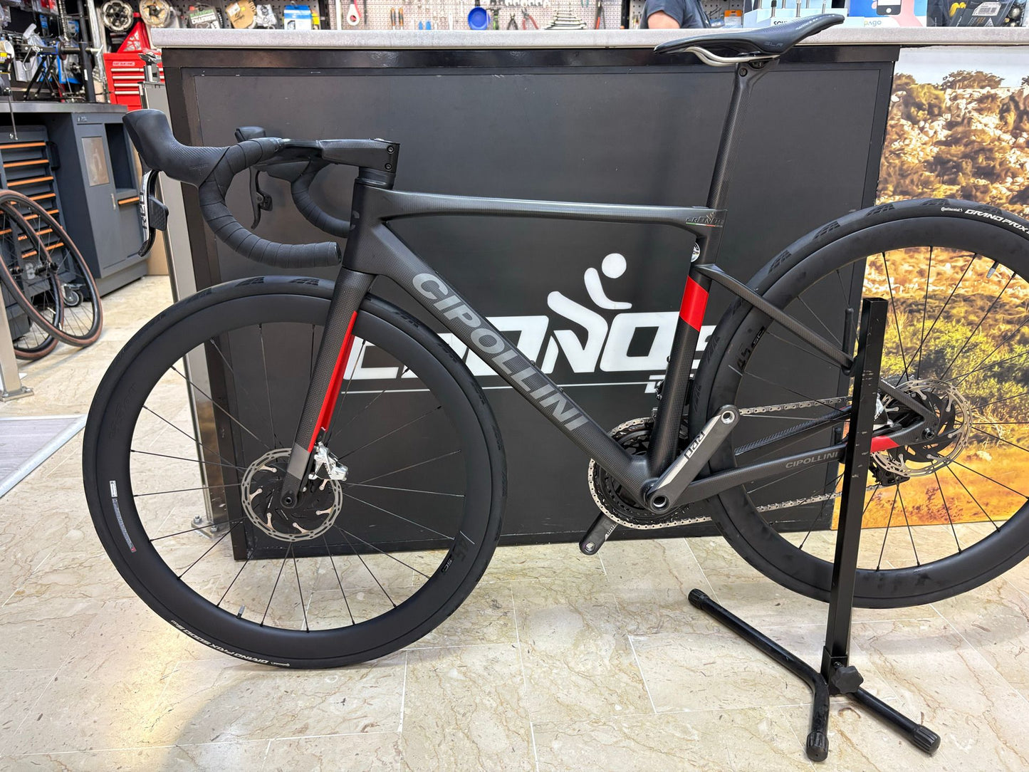 Cipollini Dolomia 2024 usata — vista laterale
