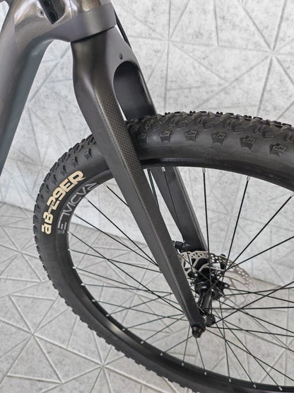 Whistle C5.6 29" Carbon Rigid 2026 — Bici usata