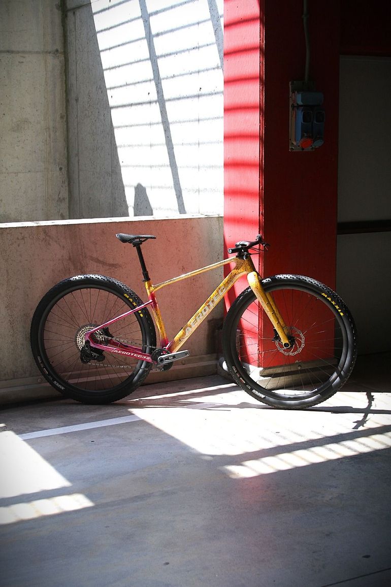 Aerotec Td1 Carbon 32" 2027 usata — dettaglio