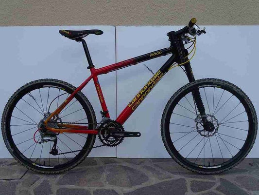 Cannondale F1000 2004 usata — vista laterale
