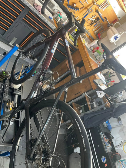 Scott Addict 30 2024 — Bici usata