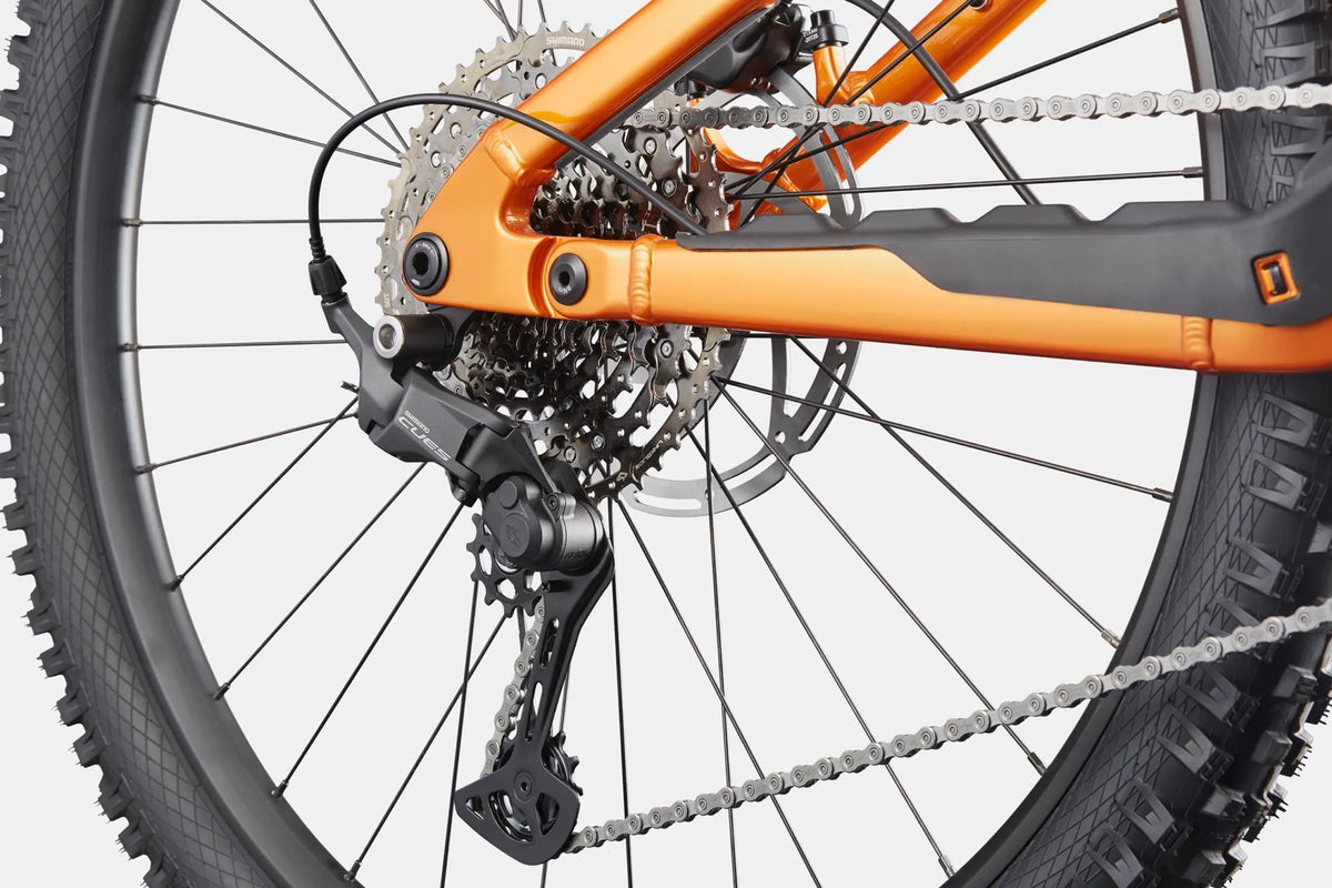Cannondale Moterra 4+ 2026 usata, dettaglio