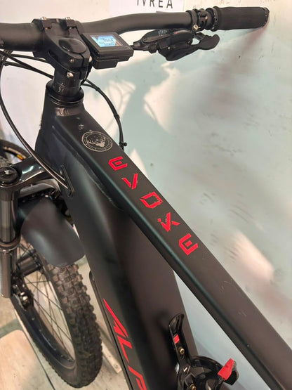 Alpek Evoke 2020 usata