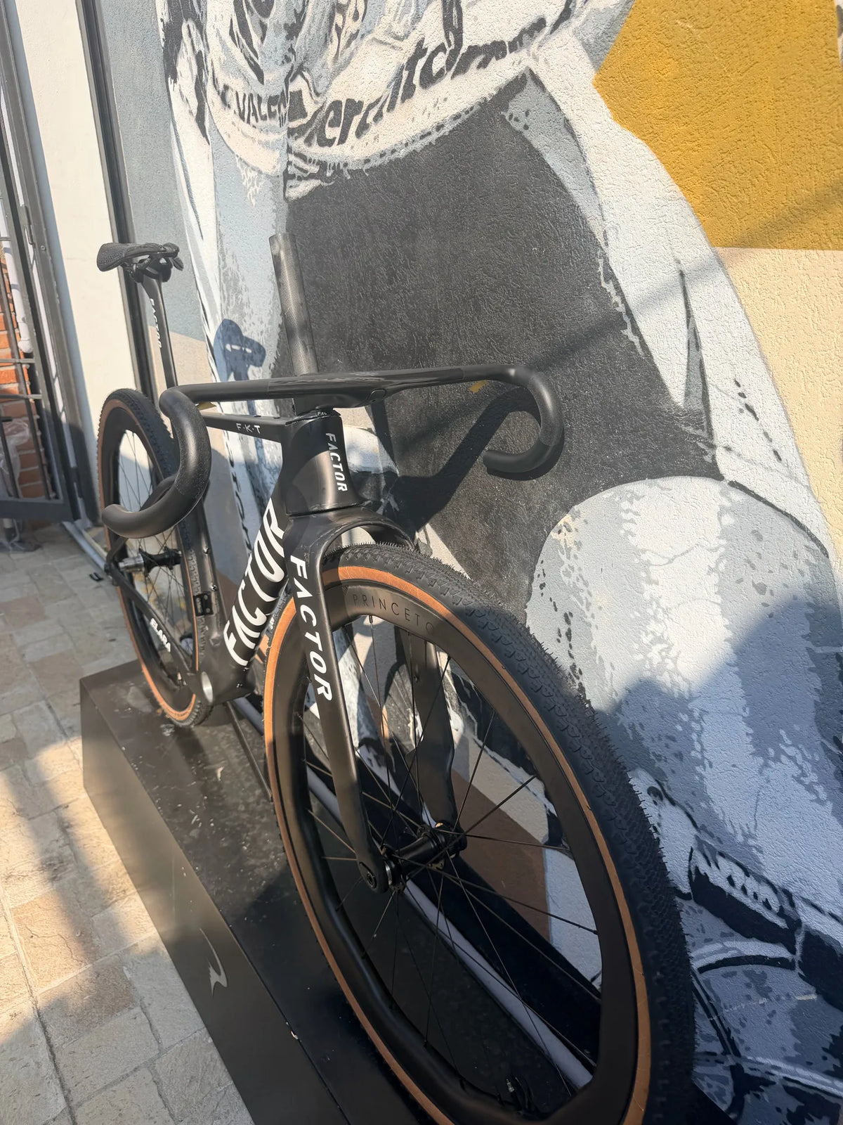 Factor Elara — gruppo Frameset, taglia S