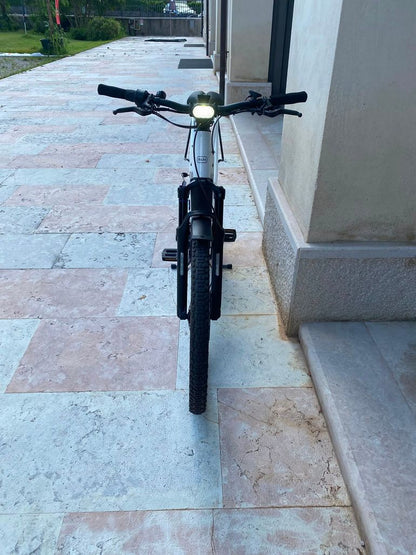 Riese & Müller Homage Gt Vario Rx Chip 2025 usata — dettaglio