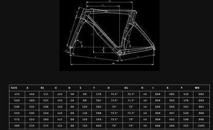 Bianchi Oltre Pro 2025 usata — dettaglio