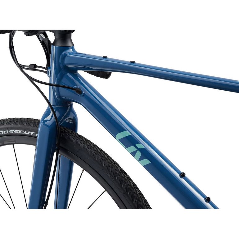 Liv Devote 1 2022 — Bici usata