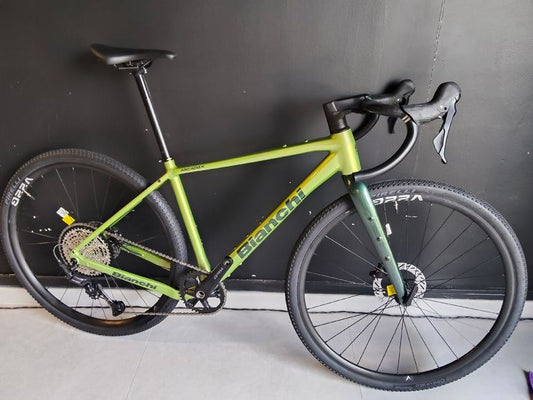 Bianchi Arcadex Al 610 2026 usata — vista laterale