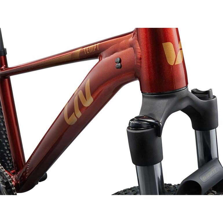Liv Tempt 2 Mars Dust 2025 — Bici usata
