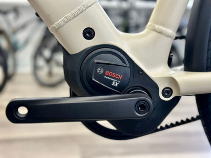 Riese & Müller Culture Vario 2023 usata — dettaglio