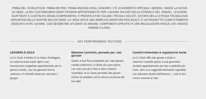 Liv Seek 2 — telaio in Alluminio, Nuovo