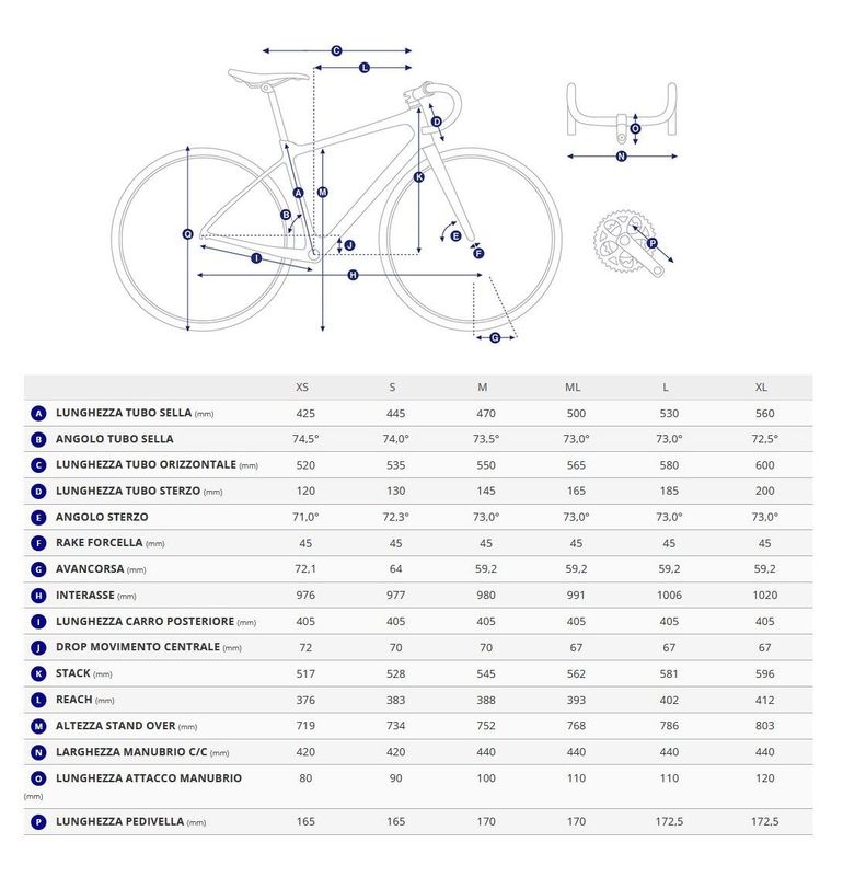 Giant Tcr Advanced 2 2026 usata — dettaglio