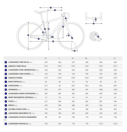 Giant Tcr Advanced 2 2026 usata — dettaglio