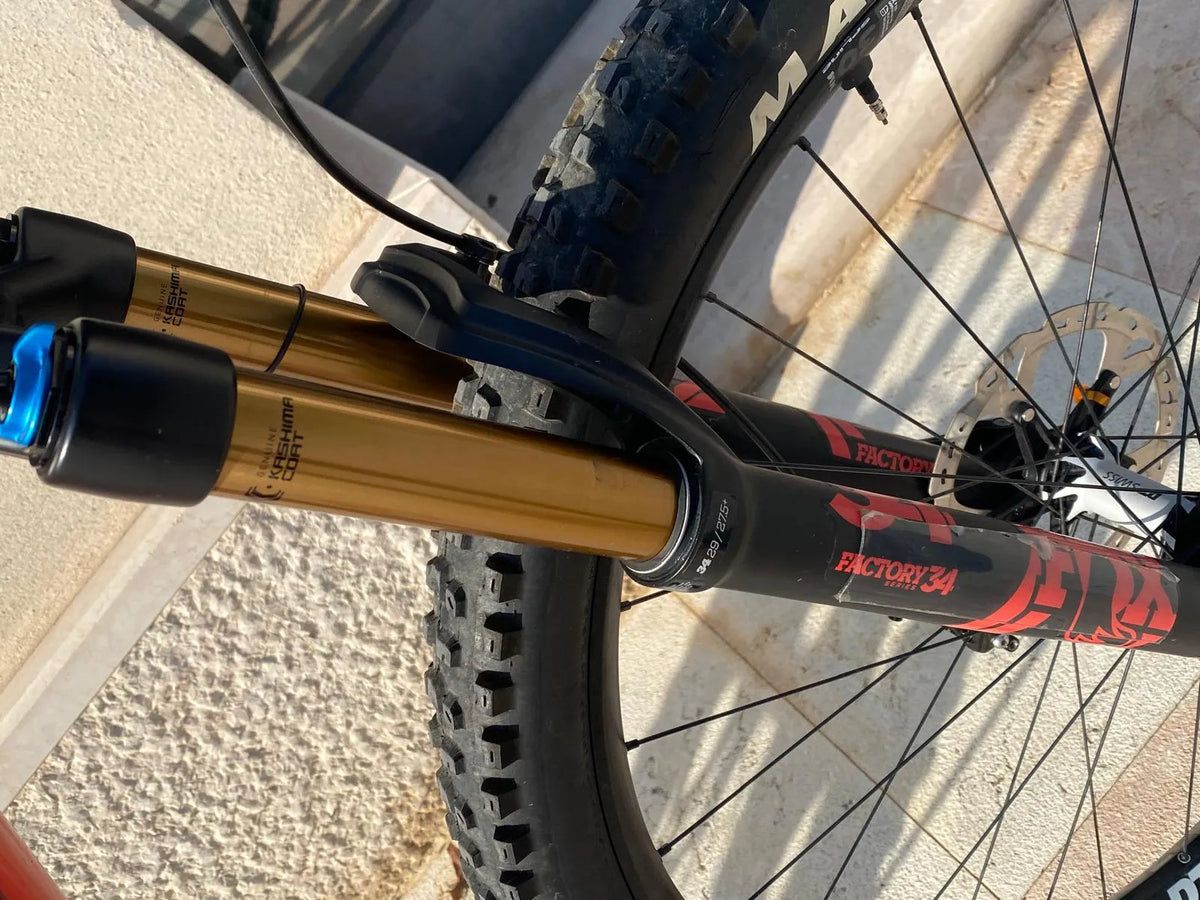 Pivot Trail 423 Kashima 2024 usata — dettaglio