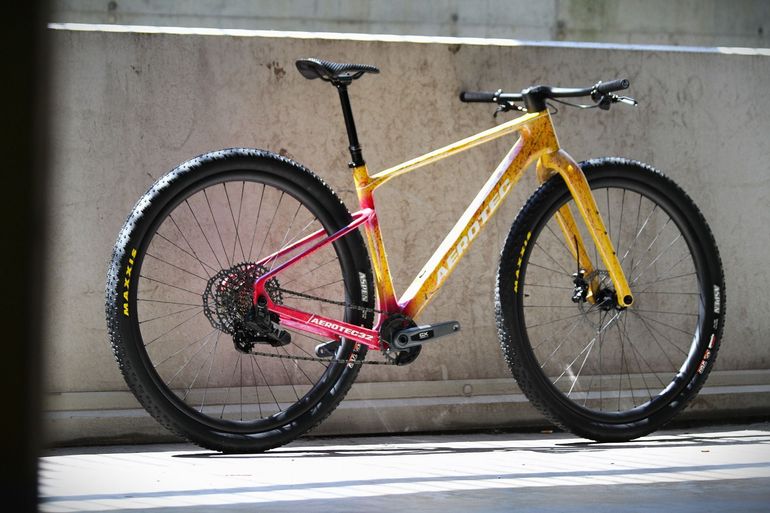 Aerotec Td1 Carbon 32" 2027 usata — dettaglio