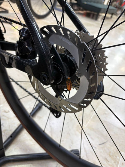 Cipollini Itaca 2025 usata — dettaglio