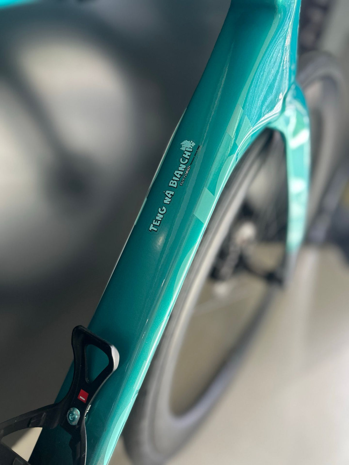 Bianchi Specialissima Comp 2025 usata — dettaglio