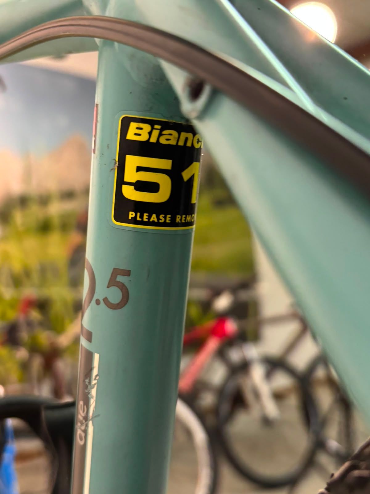 Bianchi C-Sport 2.5 2018 usata — dettaglio