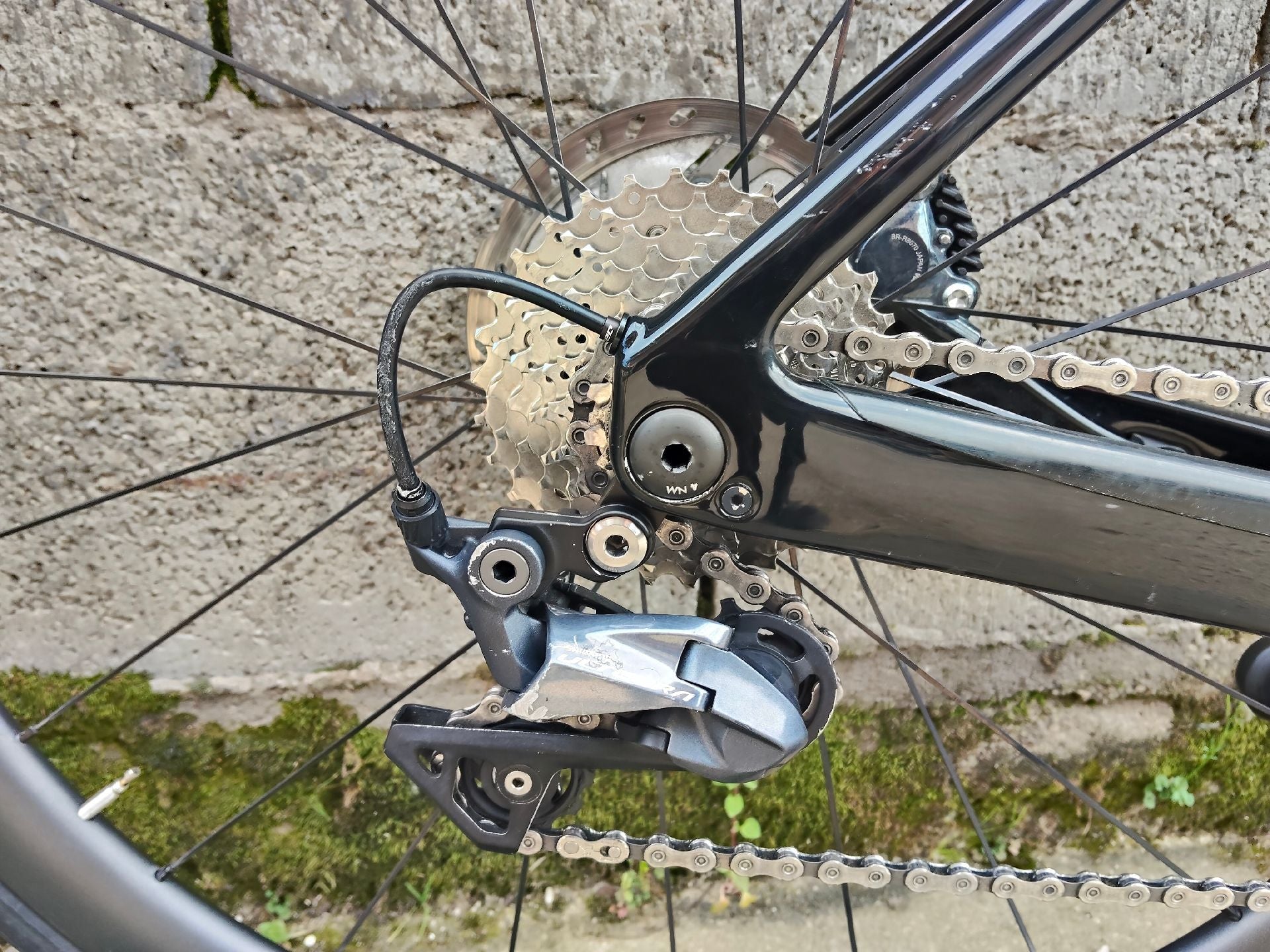 Orbea Orca — telaio in Carbonio, Ottime condizioni