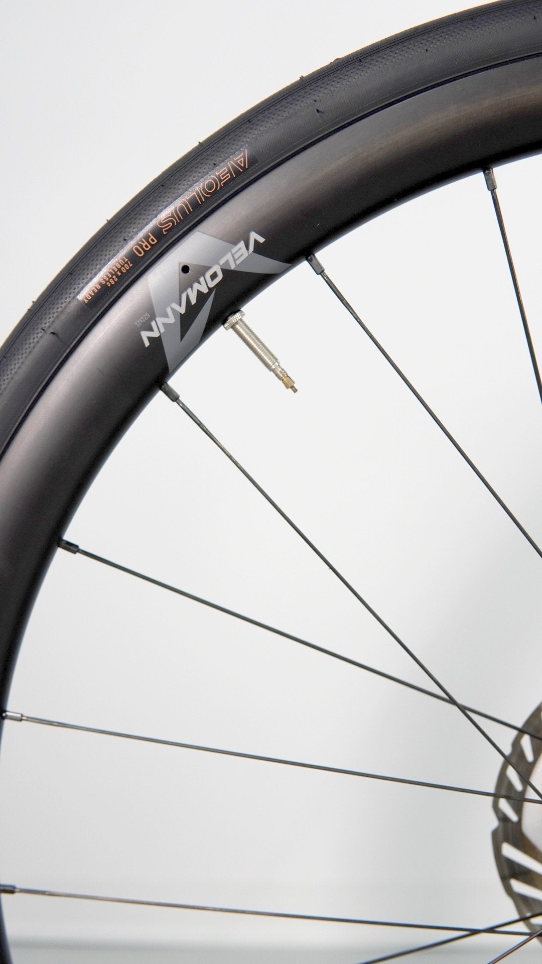 Bianchi Specialissima 2024 usata — dettaglio