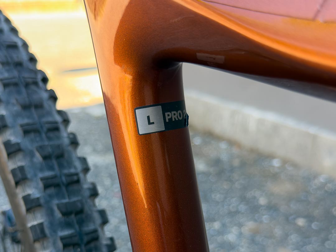 Giant Trance Advanced Pro 29 2 2020 usata — dettaglio