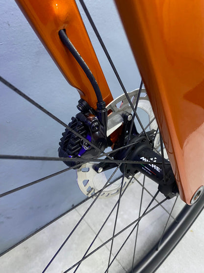 Bottecchia Aerospace Usa 2024 usata — dettaglio