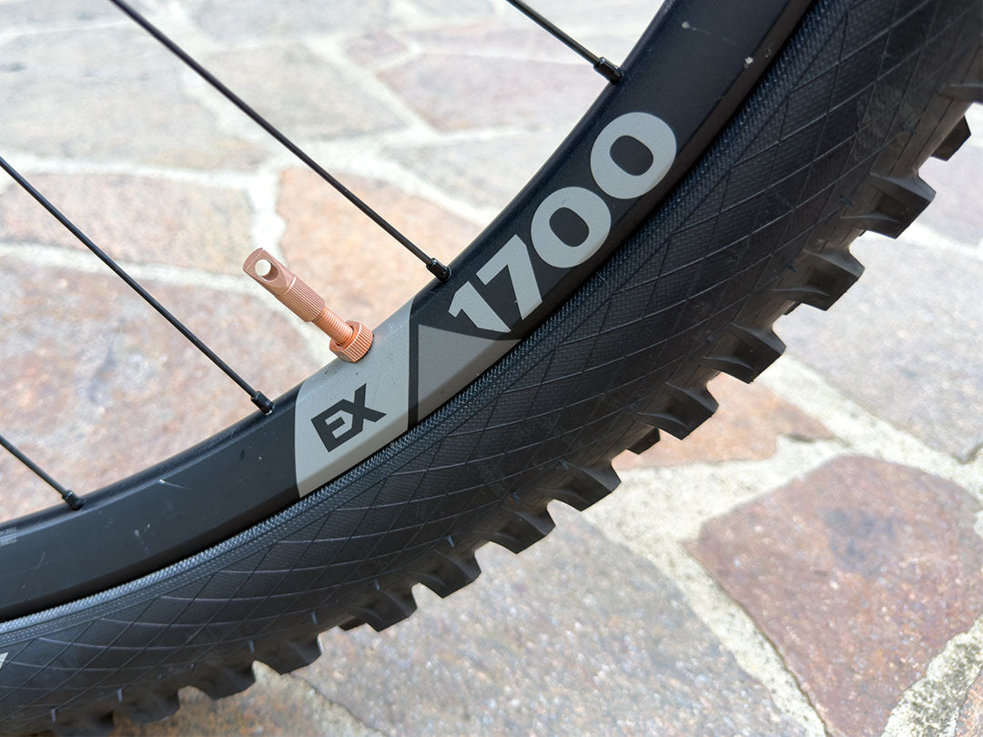 Orbea Wild Fs M Team — telaio in Carbonio, Ottime condizioni