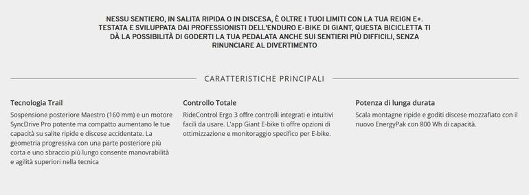 Giant Reign E+ 3 2024 usata — dettaglio