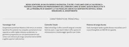 Giant Reign E+ 3 2024 usata — dettaglio