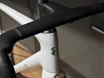 Evolve Cima 2026 — Bici usata