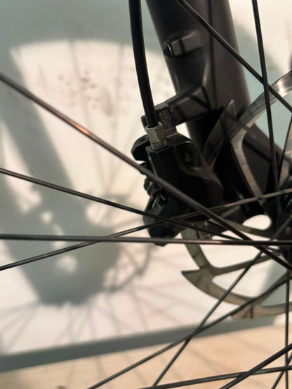 Parkpre Mt29 2021 — Bici usata