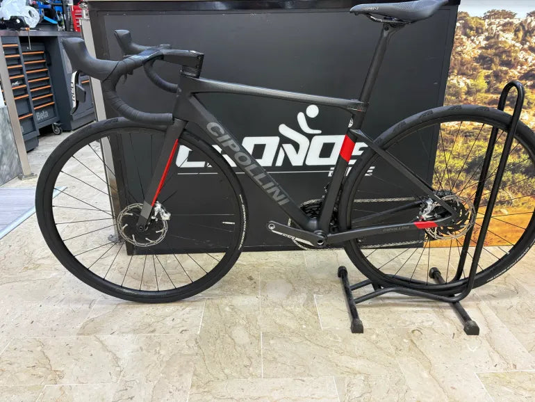 Cipollini Dolomia 2024 usata — dettaglio