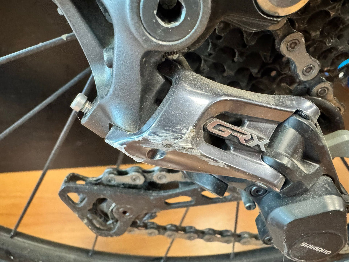 Evil Chamois Hagar / 2022 usata — dettaglio