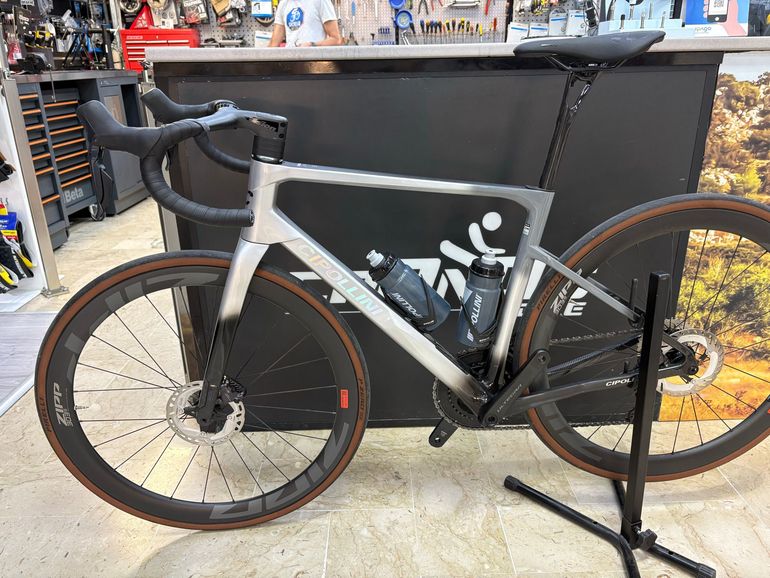 Cipollini Itaca 2025 usata — dettaglio