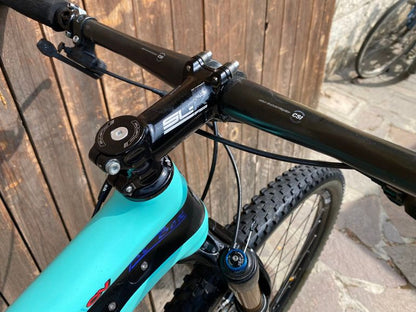 Bianchi Methanol Cv Rs 9.1 2018 usata — dettaglio