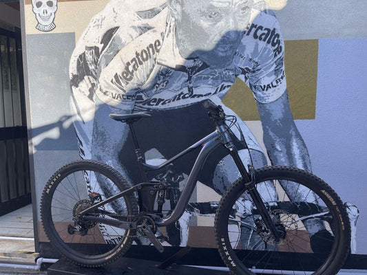 Giant Reign 1 2024 usata — vista laterale