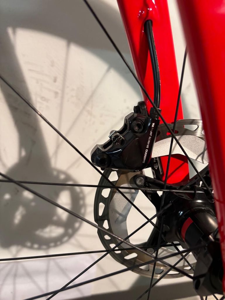 Olmo E-Bro 2024 usata — dettaglio