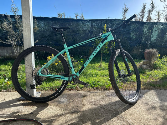 Bianchi Ntron 2024 usata — vista laterale