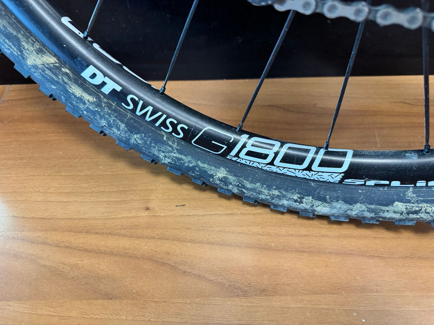 Evil Chamois Hagar / 2022 usata — dettaglio