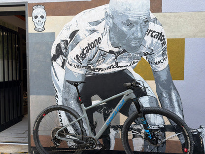 Santa Cruz Highball / Carbon Cc / 29 2020 usata — vista laterale
