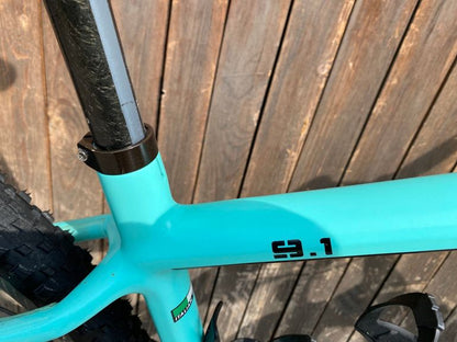 Bianchi Methanol Cv Rs 9.1 2018 usata — dettaglio