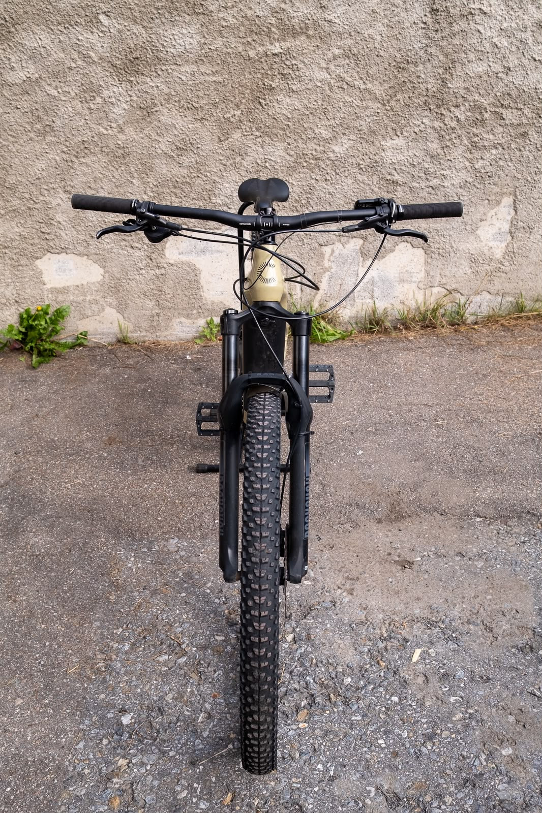 Cannondale Moterra Neo S2 2024 usata