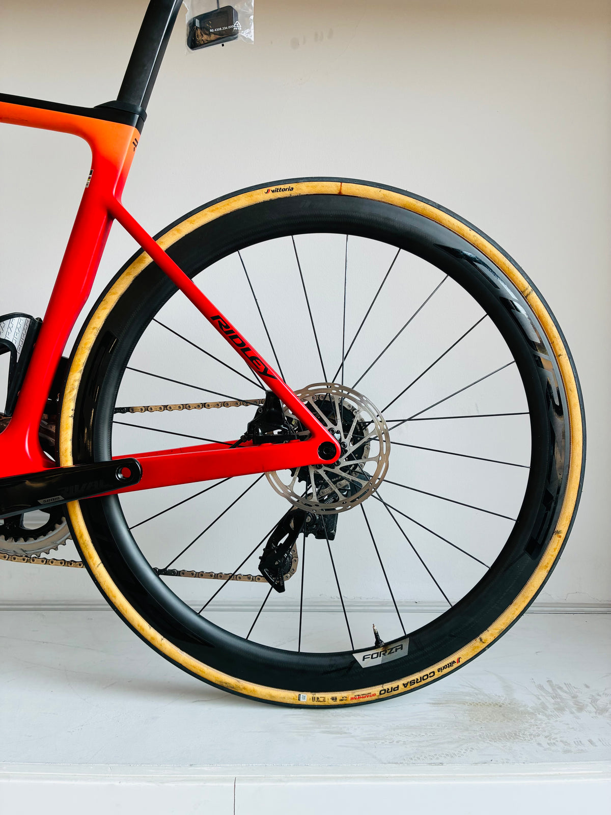Ridley Falcn Rs 2024 usata — dettaglio